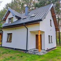 Luksusowy dom w sosnowym lesie