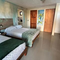 Cozy and Central Room