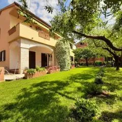 Apartments Mirella
