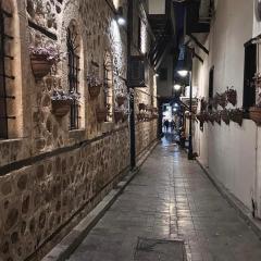 Antalya merkez deniz yakını muhteşem mutfaklı studio daire