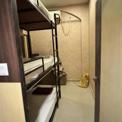 Social Safari Hostel