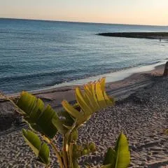 Perla marina