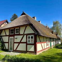 Katen am Schwanenteich
