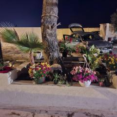 Le soleil de l'estaque