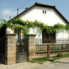 Pataky Borporta