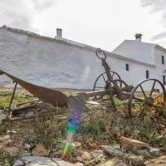 Cortijo Borreguero
