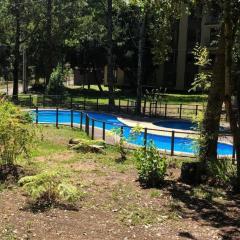 Nice and comfortable apartment in Pucon