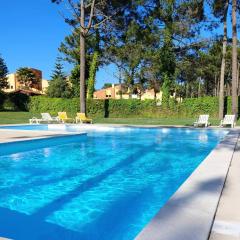 Villas Terrace Apartment