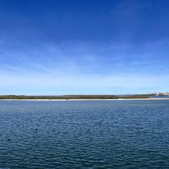 Absolute Waterfront With Rooftop!