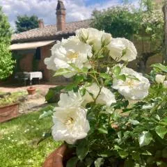 Podere Il Conventino, Casette in campagna con piscina