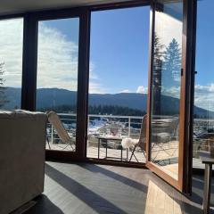 Pine apartment Vlašić