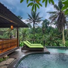 Lumina Wellness Retreat