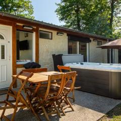 La Salamandre - maison avec jacuzzi