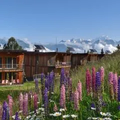 L'Aiguille Grive Chalets Hotel