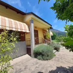 Casa La V G