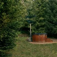 Artist's House