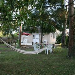 Charmante maison dans le Parc de la Brenne, idéale pour familles avec jardin, proche zoo et activités nature - FR-1-591-83