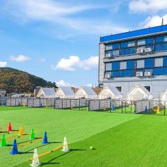 Namhae Dangdangi Dog Pension Blue