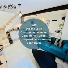 2 suites, cour privée, climatisation, Le nid de Blois Vienne