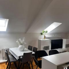 Luxury apartment Kvaternik Square