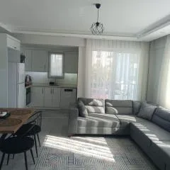 Lilyum Apart
