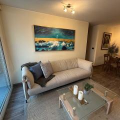 HOM I Amplio Depto 2D2B con Parking en Providencia