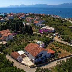 Apartments with parking space Sucuraj, Hvar - 24563