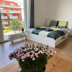 Airport Apartman Víšek