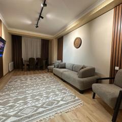 Modern style apartment on the Haydar Aliyev center