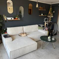 Appartement rénové Toulon