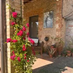 Agriturismo Podere Marroneto