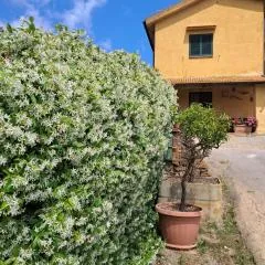 Casa nel cuore verde di Monte Argentario