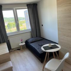 Central Studio near McDonald's