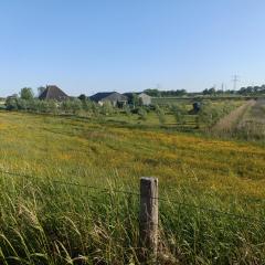 Farmstay Zijperdijk