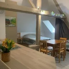 Appart cosy, calme proche fôret