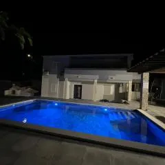 Villa Ante Škina