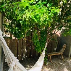 CASINHA JASMIM, vila florescer, centro histórico!!