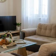 Authentic Dalmatian Treasure Homes - House Wood