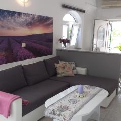 Apartments Lavanda & More - One Bedroom Apartment with Shared Terrace