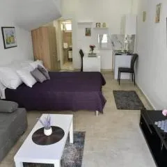 Charming Sinj Town Studio Apartments - Studio Apartments