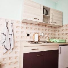 Apartments eljka - Studio Apartment with Terrace 3