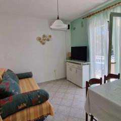 Apartments Dana - One Bedroom Apartment 2