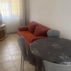 Apartments Danijela & Vlado - Three Bedroom Apartment With Balcony and Garden View