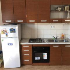 Apartmani Villa Borzic - One Bedroom Apartment with Terarce and Sea View