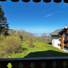 Appartement spacieux proche pistes avec parking privé - FR-1-498-116