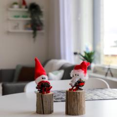 Rovaniemi Downtown Apartment