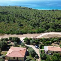 Rosanna House in Bombarde Beach