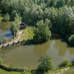 Daddy Sauna