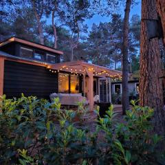 Thuisje van Hout, tiny house in Drentse natuur