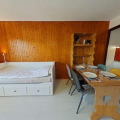 Studio rénové au Grand-Bornand avec 4 couchages - FR-1-241-245